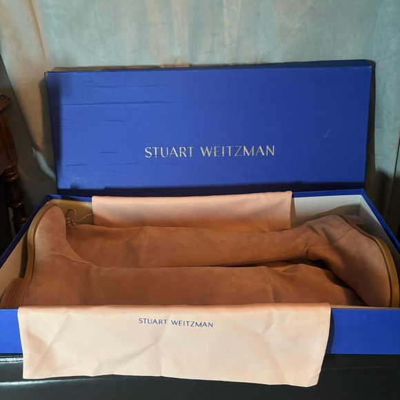 Stuart Weitzman Jocey City Boot - Picture 5 of 11